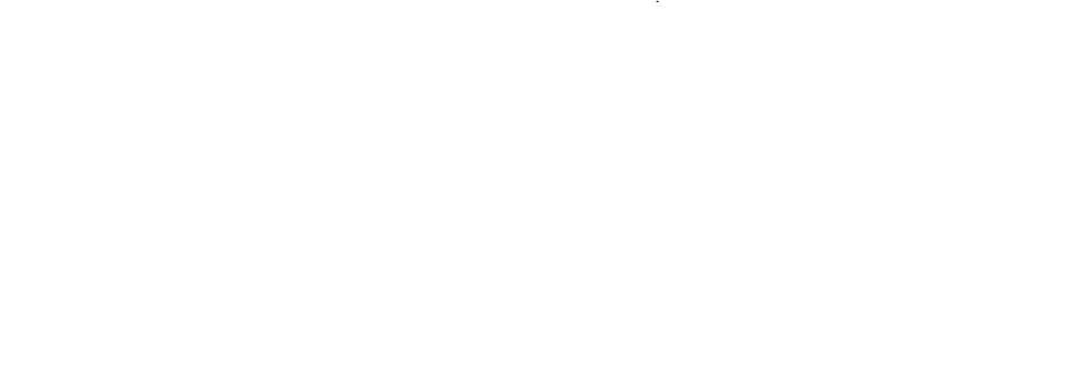 LNT overland